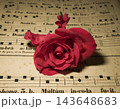 アンティークな楽譜と鮮やかな赤薔薇の花 143648683