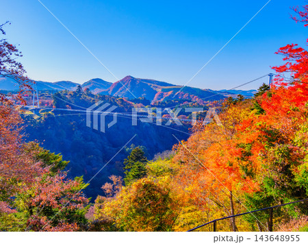 秋の白鳥神社展望台から紅葉の木々の向こうに架かる九重夢大吊橋の壮大な全景を捉えた渓谷風景 143648955