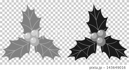 Holly icon illustration set / Christmas illustration material Holly icon illustration set / Christmas illustration material 143649016