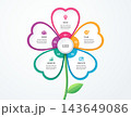 Modern flower growth infographic diagram template background illustration 143649086