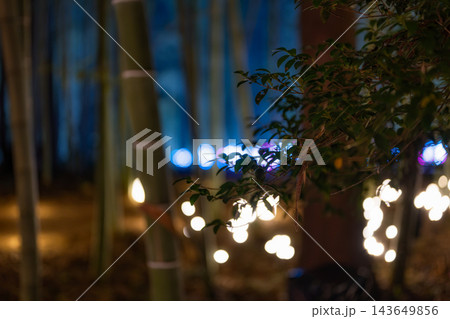 幻想的な明かりが灯る夜の竹林風景と枝葉 143649856