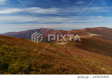 Panoramic autumn landscape of Borzhava ridge in Carpathians with winding trail. Panoramic autumn landscape of Borzhava ridge in Carpathians with winding trail. 143650405