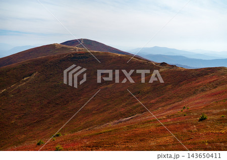 Winding dirt road along colorful autumn slopes of Borzhava ridge in Carpathians. Winding dirt road along colorful autumn slopes of Borzhava ridge in Carpathians. 143650411