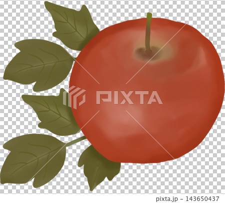 A realistic digital illustration of a ripe red apple with smooth skin, soft highlights, and green stem. 143650437