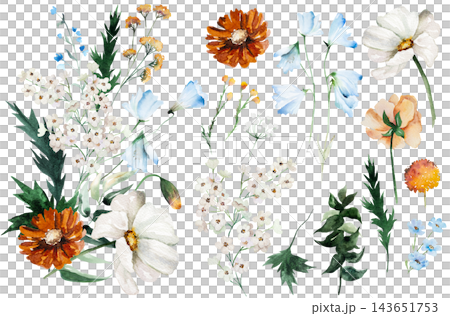 Watercolor bouquet and elements clipart with blue, ivory and orange flowers for event stationery Watercolor bouquet and elements clipart with blue, ivory and orange flowers for event stationery 143651753