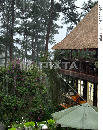Rustic thatched lodge surrounded by rainy pine forest Rustic thatched lodge surrounded by rainy pine forest 143651969