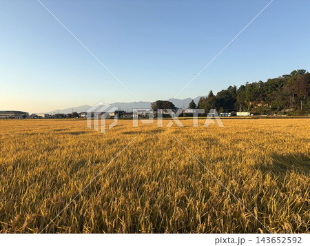 山並みを望む秋の田園風景 143652592