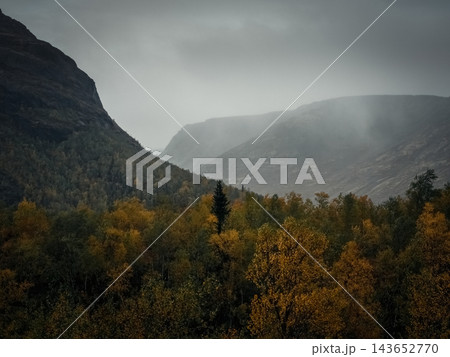 Moody Autumn Taiga Forest Inside Foggy Wilderness Mountain Gorge 143652770