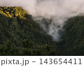 Morning Fog Drifting through Forested Mountain Valley 143654411
