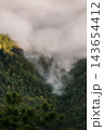 Morning Fog in Forested Mountain Valley 143654412