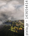 Aerial View of Forested Village in Morning Fog 143654414