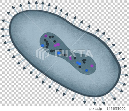 blue poxvirus illustration blue poxvirus illustration 143655002