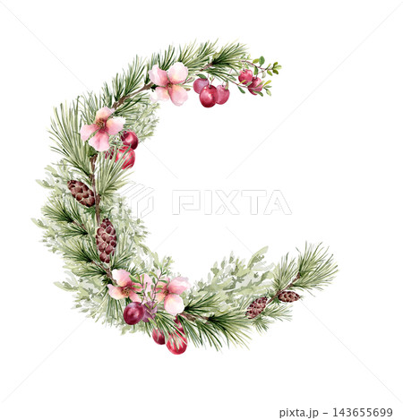 Floral winter wreath with pine bough and cones watercolor hand drawn. Pink delicate flowers and cranberries semi circle for Christmas design. Botanical seasonal frame with empty space for text. 143655699