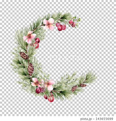 Floral winter wreath with pine bough and cones watercolor hand drawn. Pink delicate flowers and cranberries semi circle for Christmas design. Botanical seasonal frame with empty space for text. 143655699