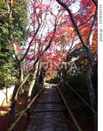 Autumn maple-lined path at Genkoan Temple in Kyoto 143656414
