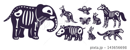 Cartoon animal skeletons. Mystical Halloween fauna. Black silhouettes with bones inside. Dead kangaroo and gothic elephant. Skeletal owl and rabbit. Dia de los muertos mammals vector set Cartoon animal skeletons. Mystical Halloween fauna. Black silhouettes with bones inside. Dead kangaroo and gothic elephant. Skeletal owl and rabbit. Dia de los muertos mammals vector set 143656698