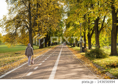 Person walking along a scenic autumn park alley with golden foliage 143656994