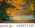 Magic morning light in autumn, Lithuania 143657195