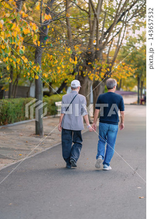 Romantic Couple Holding Hands in Autumn Park. Middle aged couple walks along tree lined park path surrounded by yellow autumn foliage. Couple enjoys peaceful walk together, love and companionship 143657532