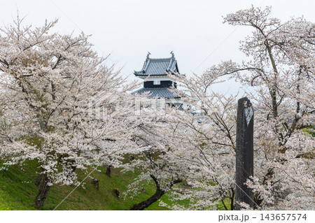 春の福島県白河市 日本100名城 白河小峰城と桜 春の福島県白河市 日本100名城 白河小峰城と桜 143657574