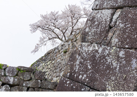 春の福島県白河市 日本100名城 白河小峰城と桜 春の福島県白河市 日本100名城 白河小峰城と桜 143657580