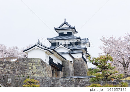 春の福島県白河市 日本100名城 白河小峰城と桜 春の福島県白河市 日本100名城 白河小峰城と桜 143657583