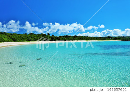 沖縄 伊良部島 渡口の浜 沖縄 伊良部島 渡口の浜 143657692