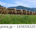 昔ながらの稲架掛け　高知県八畝の棚田 143658320