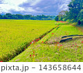 彼岸花咲く土手から望む風景 143658644