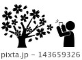 桜の木をスマホで撮影する人のシルエットピクトグラム 143659326