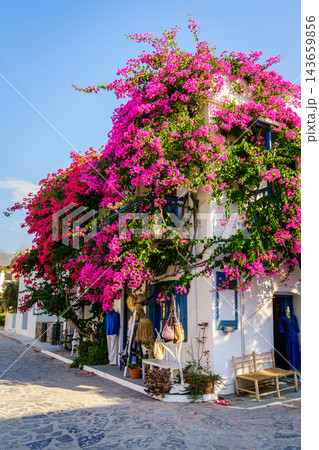 Traditional house with bougainvillea and street view, Mochlos, Crete, Greece Traditional house with bougainvillea and street view, Mochlos, Crete, Greece 143659856
