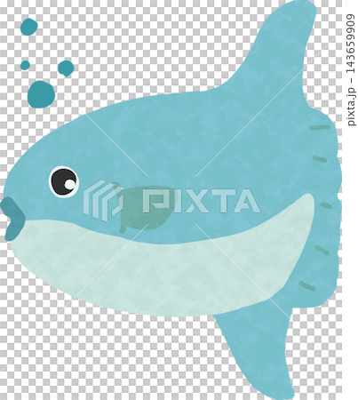 A cute, hand-drawn illustration of a sunfish A cute, hand-drawn illustration of a sunfish 143659909
