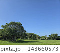 爽やかな青空の公園 143660573