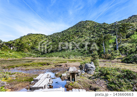 屋久島 高層湿原花之江河と黒味岳(春 屋久島 高層湿原花之江河と黒味岳(春 143660663