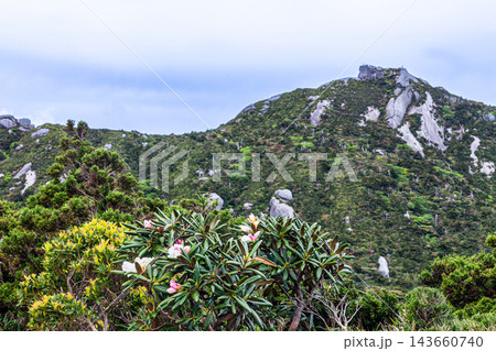 屋久島世界自然遺産　黒味岳山頂(春 143660740