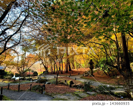 紅葉に包まれた醍醐寺境内➀ 紅葉に包まれた醍醐寺境内➀ 143660935