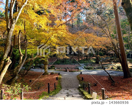 紅葉に包まれた醍醐寺境内参道 紅葉に包まれた醍醐寺境内参道 143660936