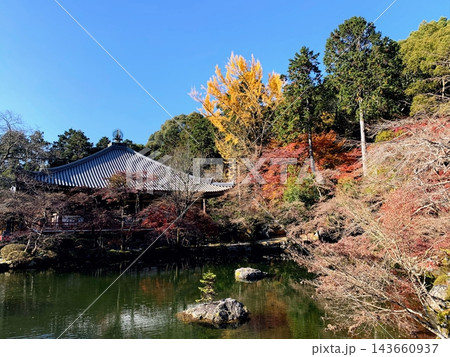 紅葉に包まれた醍醐寺弁天池と観音堂 143660937