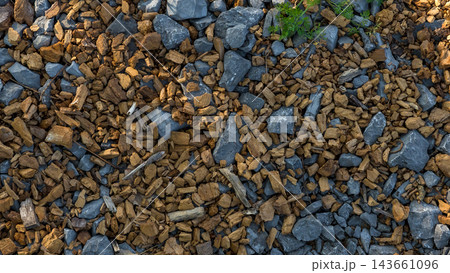 Mixed gravel and broken stone with scattered green plants in a natural rocky ground texture Mixed gravel and broken stone with scattered green plants in a natural rocky ground texture 143661096
