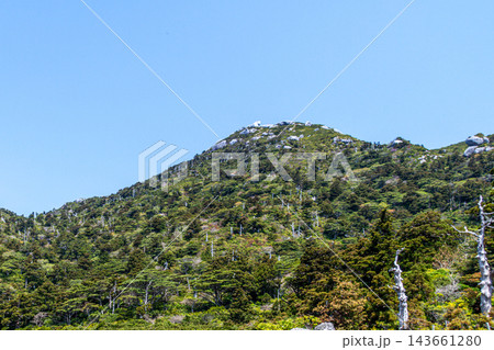 屋久島世界自然遺産の春　黒味岳山頂 143661280