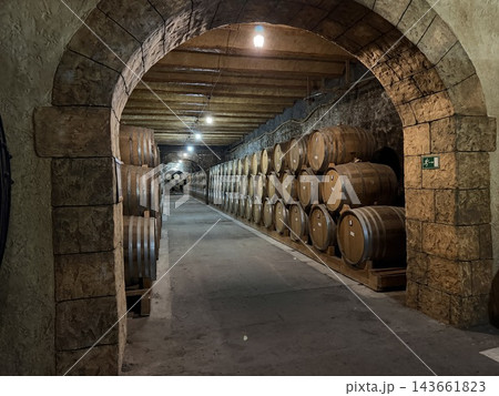 Stone arch frames a long cellar corridor with rows of wooden barrels stacked along both sides beneath exposed beams and overhead lights 143661823