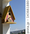 Decorative wooden birdhouse with yellow triangular roof and painted pink birds hangs from a white wall above a distant mountainous landscape 143661880