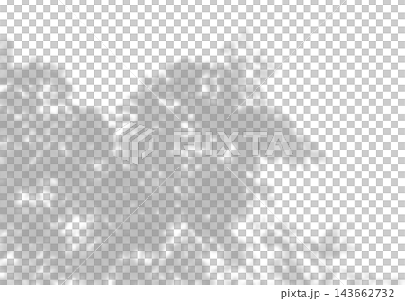 Natural light casts shadows from tree branches on a white background. Mockup Natural light casts shadows from tree branches on a white background. Mockup 143662732