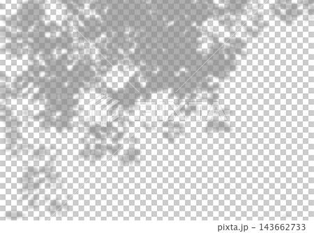 Natural light casts shadows from tree branches on a white background. Mockup Natural light casts shadows from tree branches on a white background. Mockup 143662733