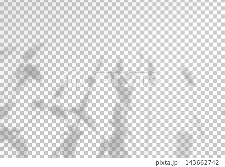 Natural light casts shadows from the field grass on a white background. Mockup Natural light casts shadows from the field grass on a white background. Mockup 143662742