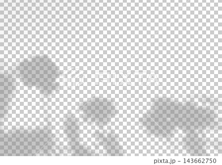 Natural lighting casts shadows from wildflowers on a white background. Mockup Natural lighting casts shadows from wildflowers on a white background. Mockup 143662750