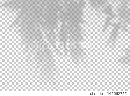 Natural light casts shadows from willow branches on a white background. Mockup Natural light casts shadows from willow branches on a white background. Mockup 143662755