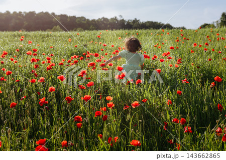 Child Running Through a Green Poppy Field on a Summer Day Child Running Through a Green Poppy Field on a Summer Day 143662865