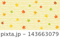 水面に浮かぶ紅葉の和柄イラスト背景 水面に浮かぶ紅葉の和柄イラスト背景 143663079