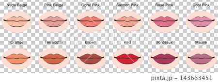 <向量素材> 唇妝顏色變化插圖 - 12色套裝(英文版,含膚色) <向量素材> 唇妝顏色變化插圖 - 12色套裝(英文版,含膚色) 143663451